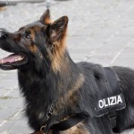 cane polizia di stato