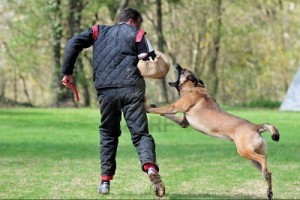 attacco_mal2