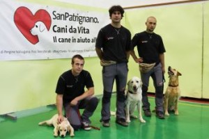 canidavita_0