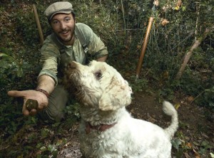 giotto-tartufo1
