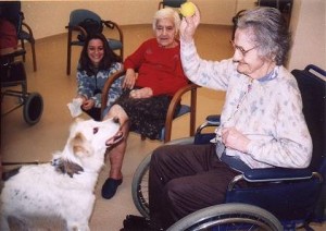 image004