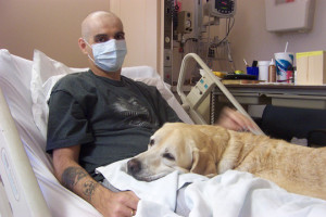 pet therapy