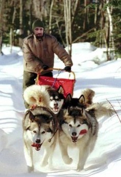 musher_353x450
