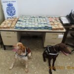 cani poliziotto nella ricerca di denaro